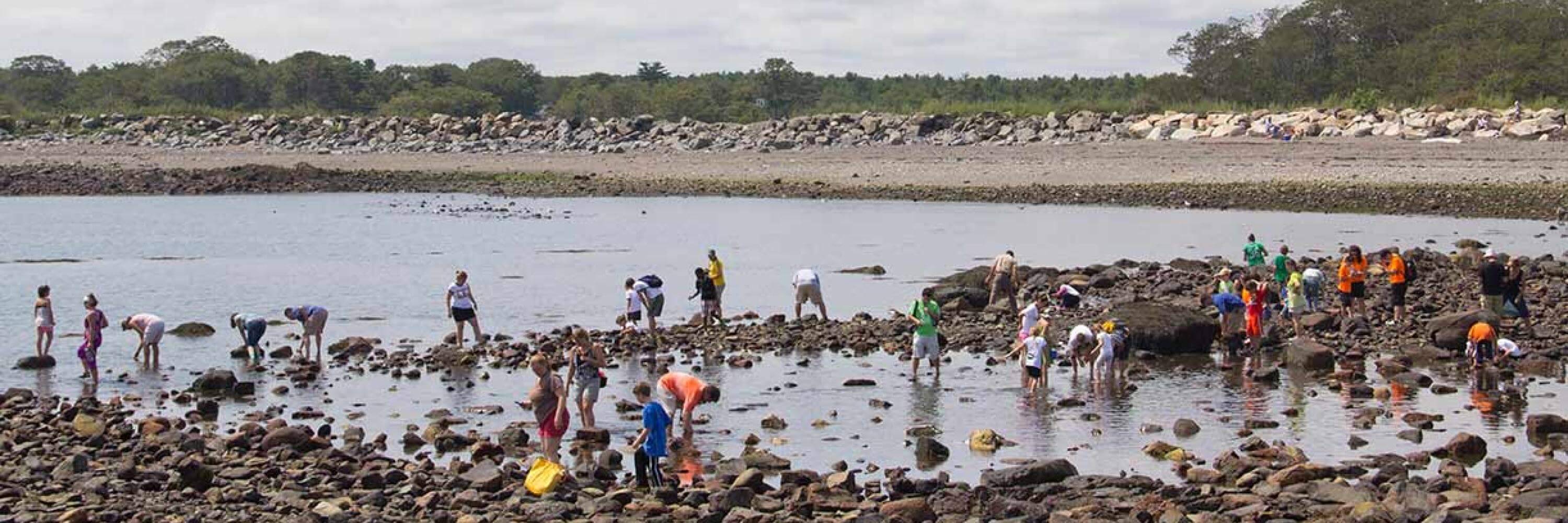 Odiorne Point State Park
